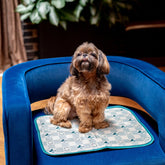 Disney Mickey Mouse Cool Pet Pad