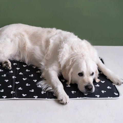 Disney Mickey & Minnie Cool Pet Pad