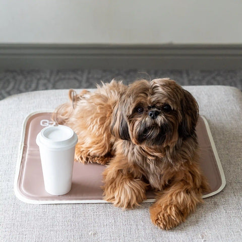 Cool Pet Pad